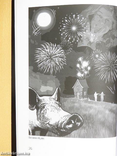 "aggyuk kijeszt könyvbe!"