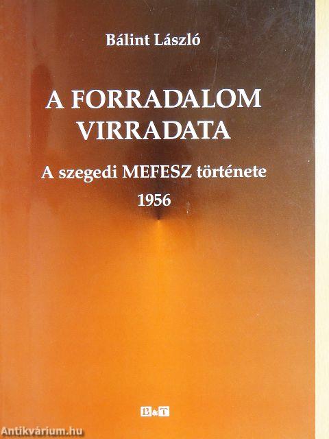 A forradalom virradata