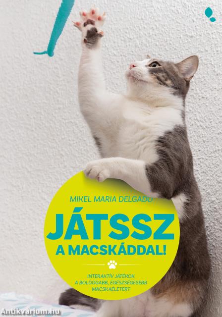 Játssz a macskáddal!