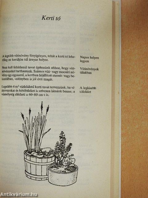 Ezer ragyogó ötlet hobbikertészeknek