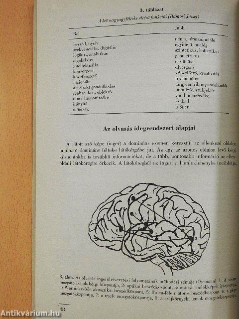 A tanulás öröm is lehet