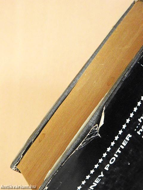 Aztán mennydörgést hallottunk