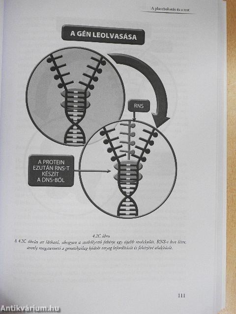 A placebo te magad légy!
