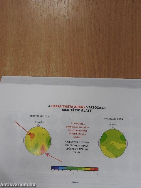 A placebo te magad légy!