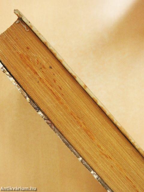 Hogyan lett az ember óriás?