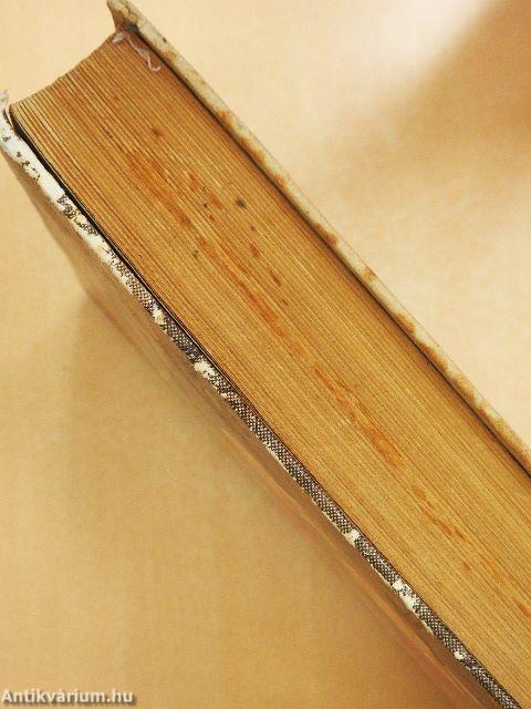 Hogyan lett az ember óriás?