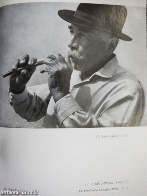 Magyar népdalok, népi hangszerek