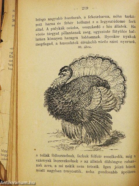 Természetrajz (rossz állapotú)