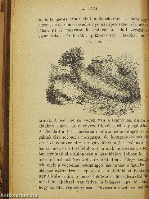 Természetrajz (rossz állapotú)