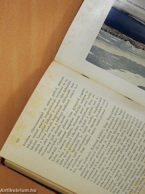 Transzhimalája (rossz állapotú)