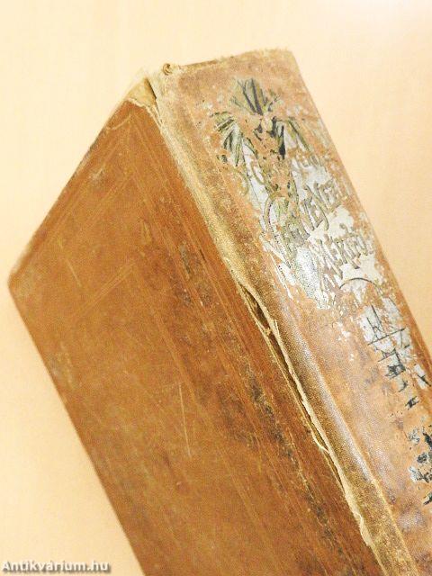 Negyvenezer mértföld vitorlával és gőzzel (rossz állapotú)