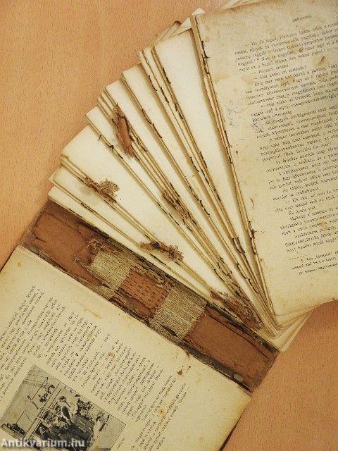 Negyvenezer mértföld vitorlával és gőzzel (rossz állapotú)