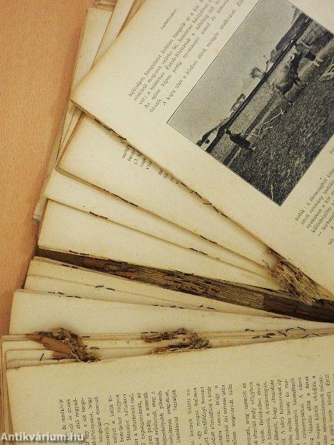 Negyvenezer mértföld vitorlával és gőzzel (rossz állapotú)