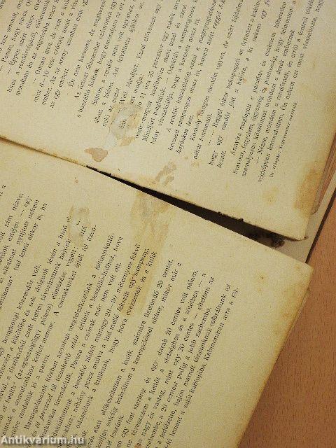 Negyvenezer mértföld vitorlával és gőzzel (rossz állapotú)