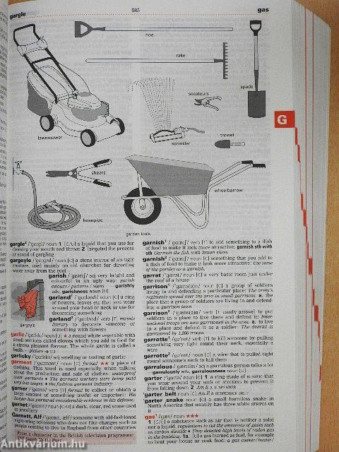 Macmillan English Dictionary - CD-vel