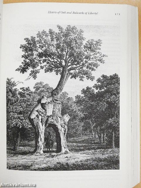 Landscape and Memory