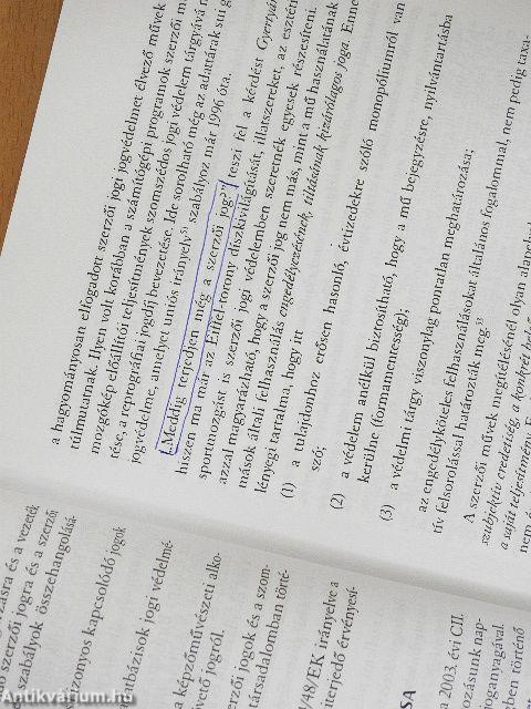 A világháló és az EU szerzői joga