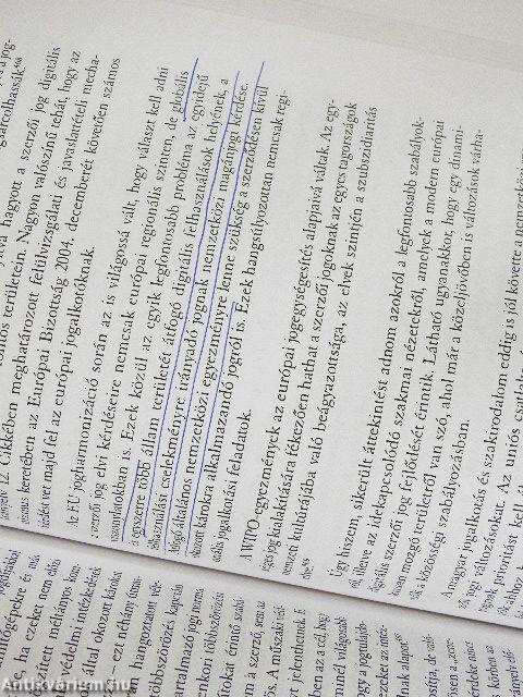 A világháló és az EU szerzői joga