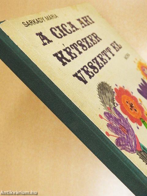 A cica, aki kétszer veszett el