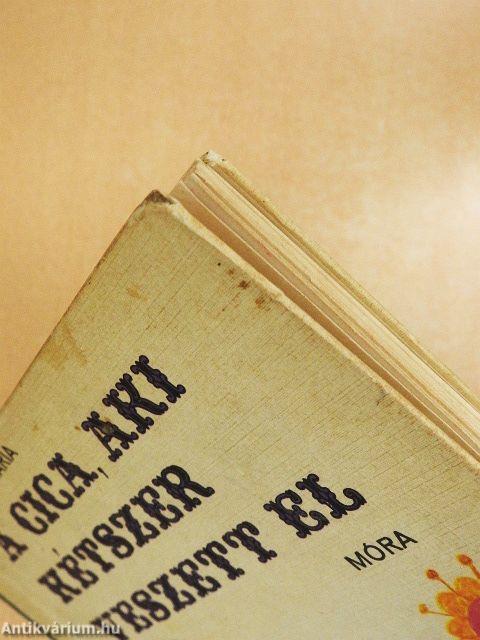 A cica, aki kétszer veszett el