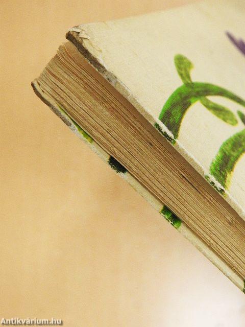 A cica, aki kétszer veszett el