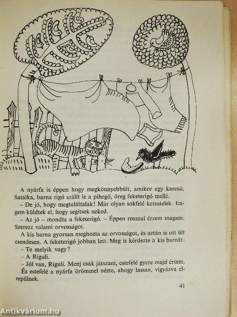 A cica, aki kétszer veszett el