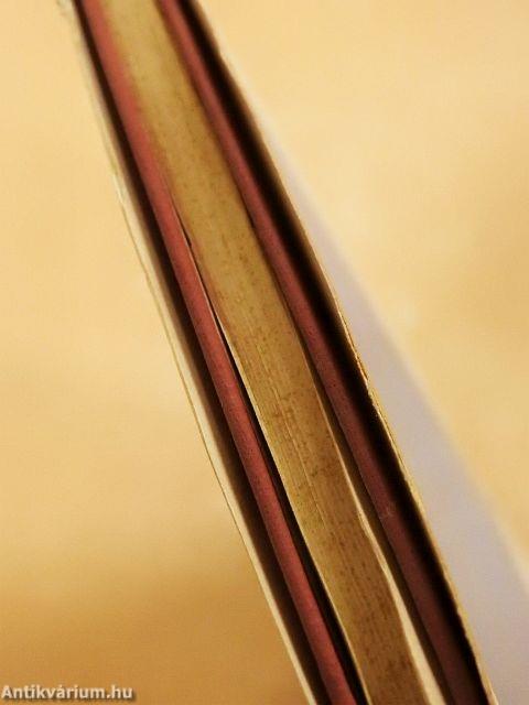 Két XVI. századi eretnek gondolkodó