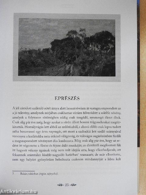 Harangszó az erdőn