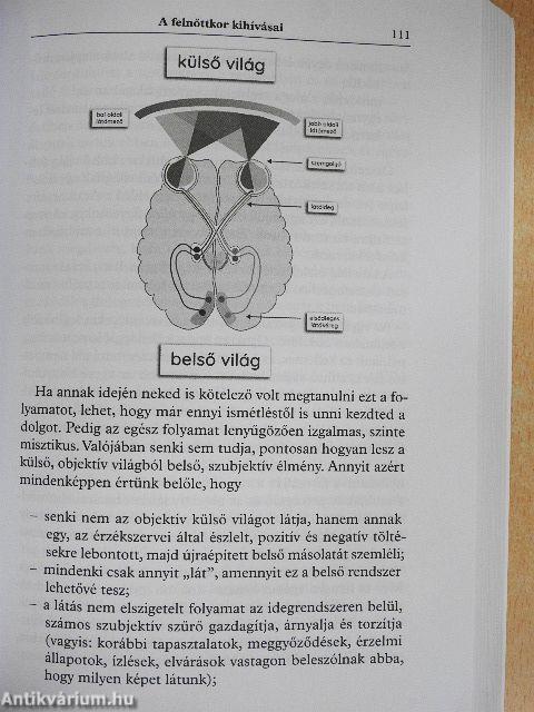 Mit üzen az életed?