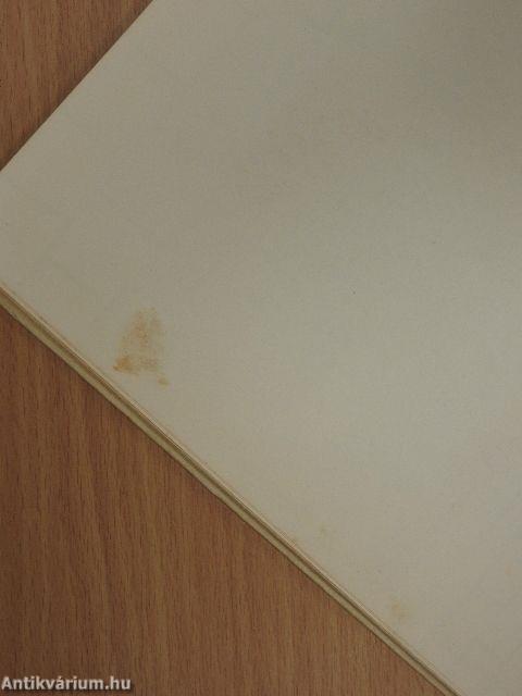 A cica, aki kétszer veszett el