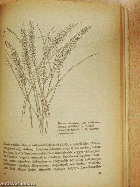 Virágos ablak, virágos udvar