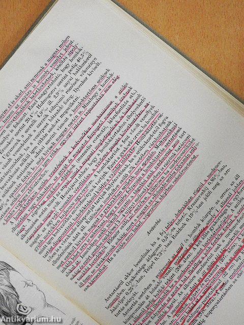 A szülészet tankönyve