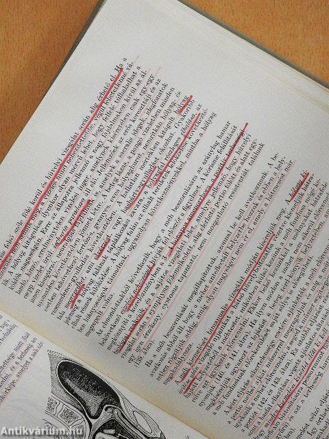 A szülészet tankönyve