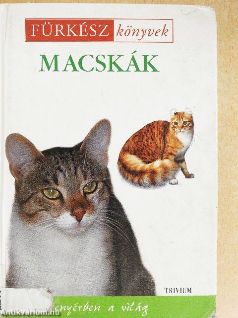 Macskák