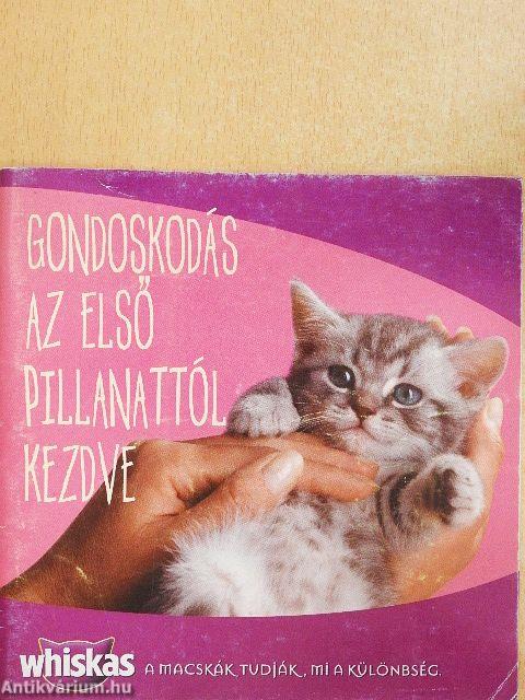 Gondoskodás az első pillanattól kezdve