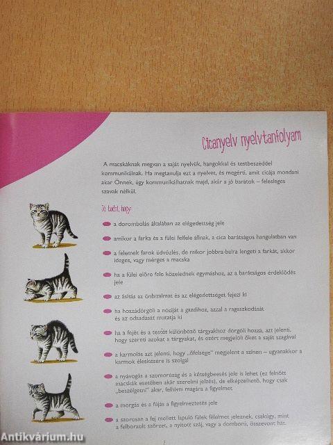 Gondoskodás az első pillanattól kezdve