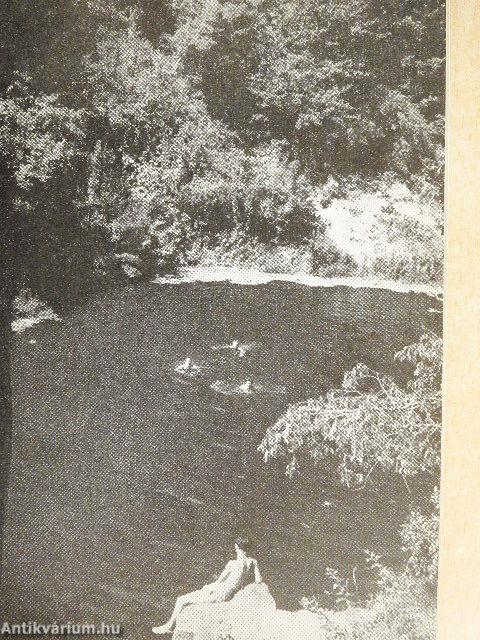 Budapest-Tokajhegyalja-Sárospatak