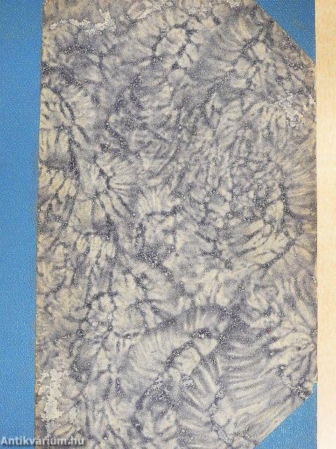 Georg Wendlandt három asszonya