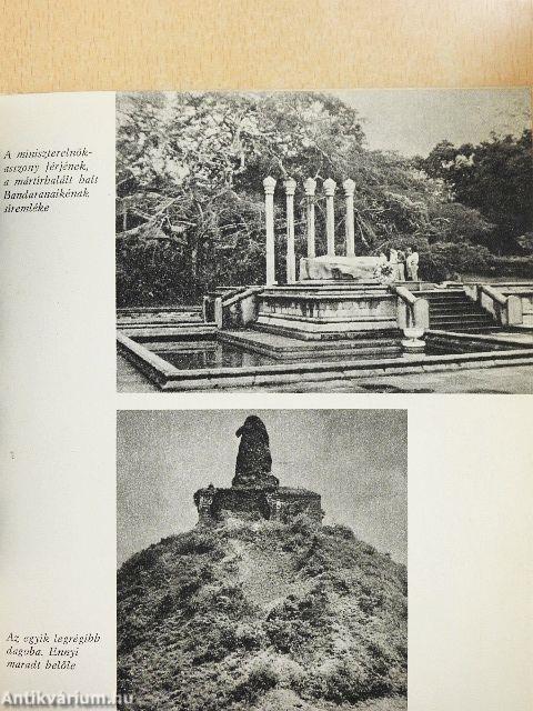 Colombótól Rotterdamig a Hungárián