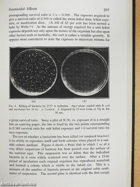 Ultraviolet Radiation