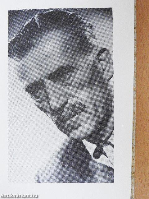 Szépülő szegénység I-II.