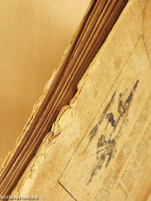 Mackó úr szárazon és vizen (rossz állapotú)