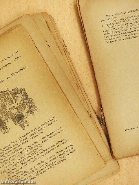 Mackó úr szárazon és vizen (rossz állapotú)