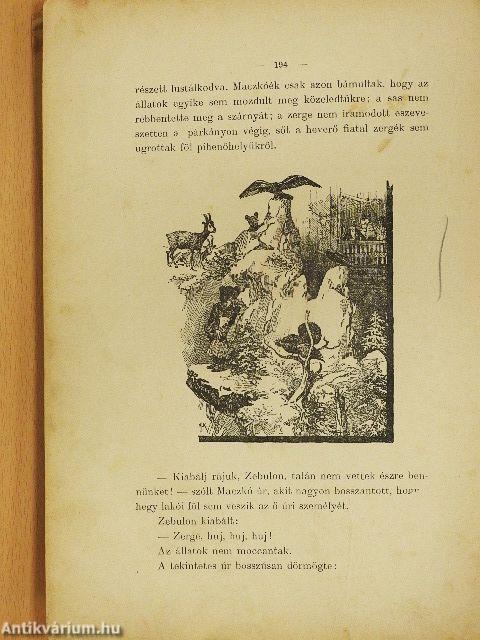 Maczkó úr útnak indul (rossz állapotú)