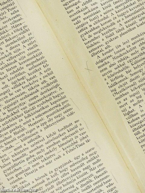 Magyar népművészet (rossz állapotú)