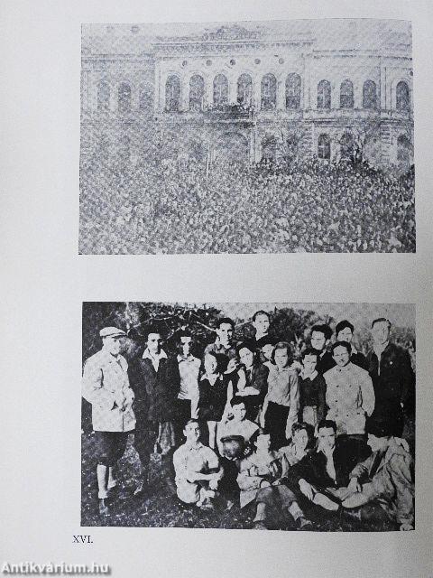 Tanulmányok Békéscsaba történetéből