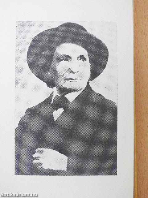 A rovarok környezete és viselkedése