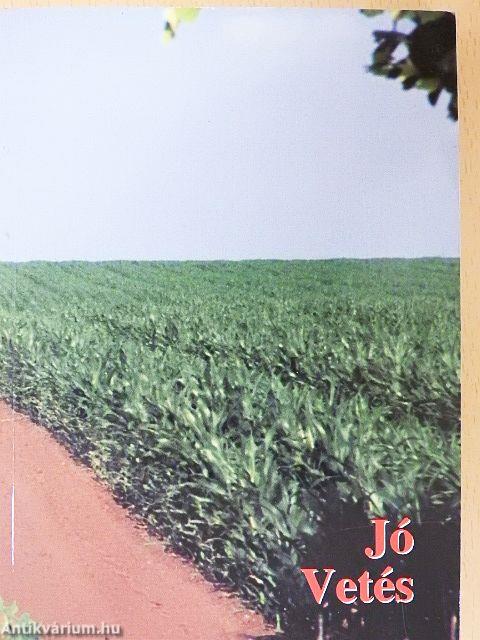A jó vetés
