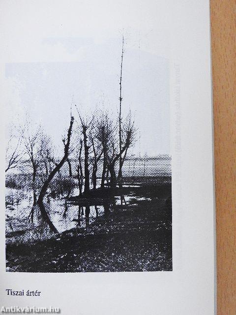 A szegedi nép