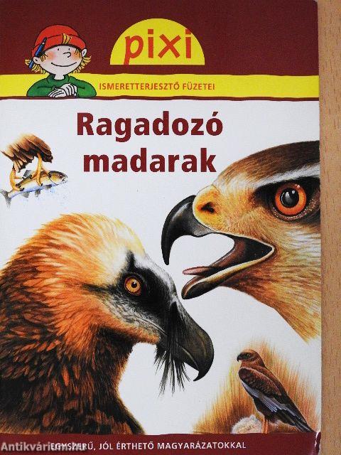 Ragadozó madarak